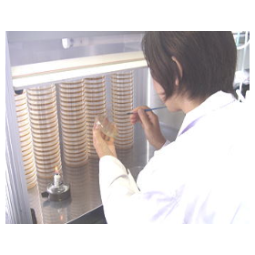 【外食向け】食品の受託研究開発