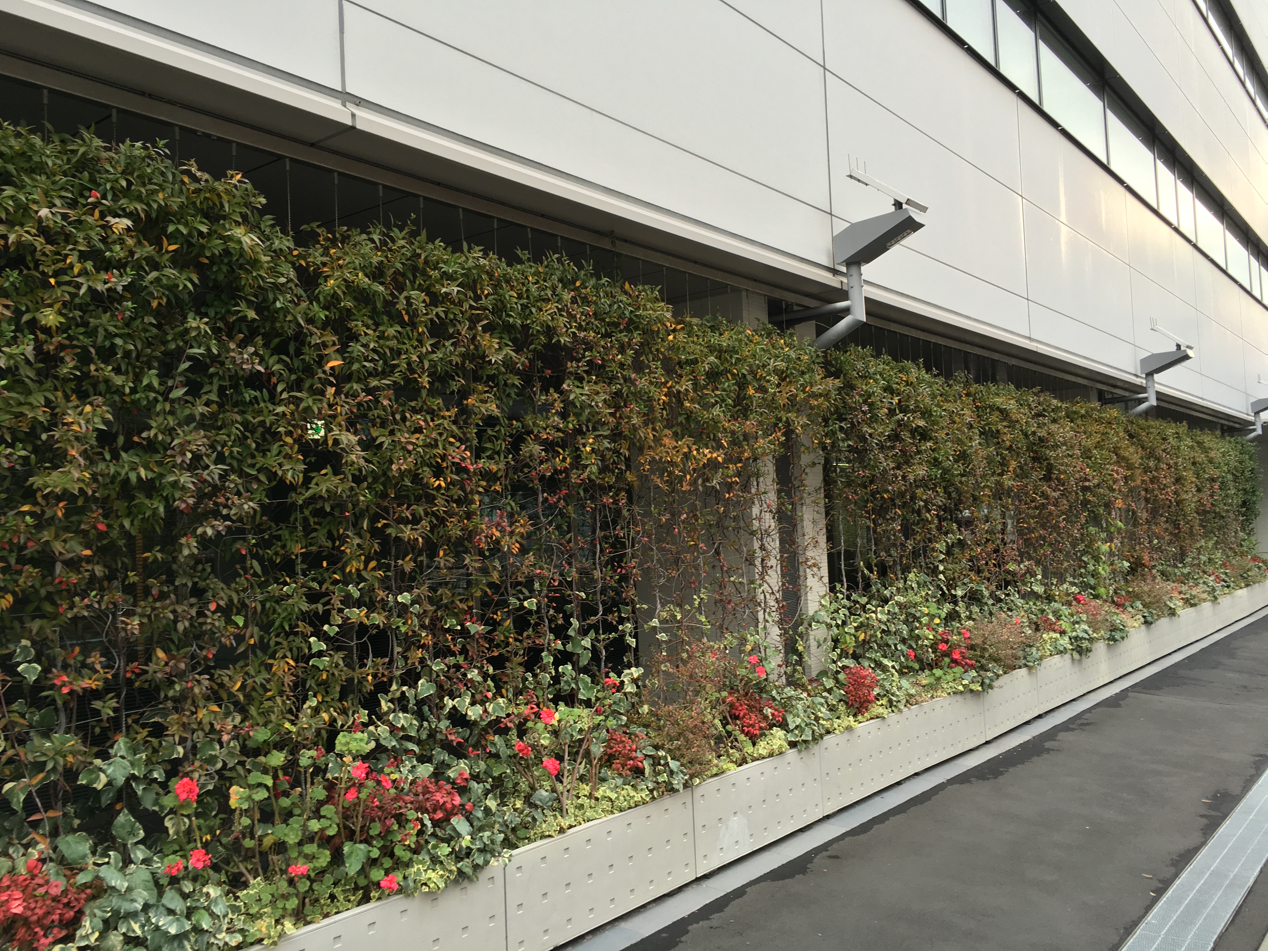 壁面緑化(ワイヤープランター一体)アルティマ壁面緑化システム