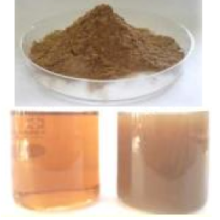 素材『POLYPHEMIN』