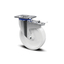 Heavy-duty stainless steel casters for the cosmetics industry