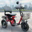 Specific small motorized bicycle "TK3A"