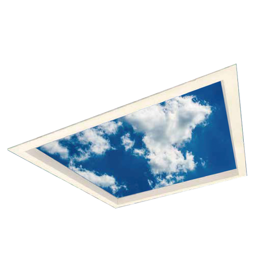 pro10.png
