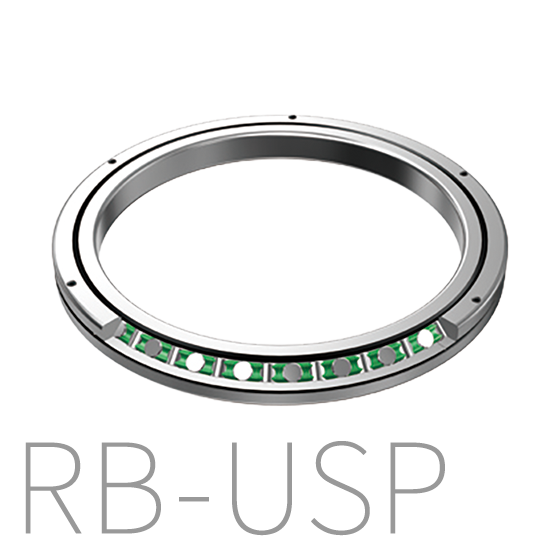 RB-USP_560.png