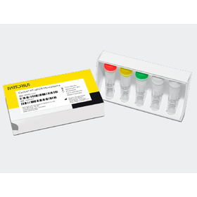 Cyclus RT-qPCR Mycoplasma