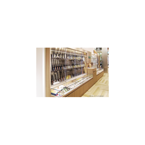 IPROS10946465238527670244.png