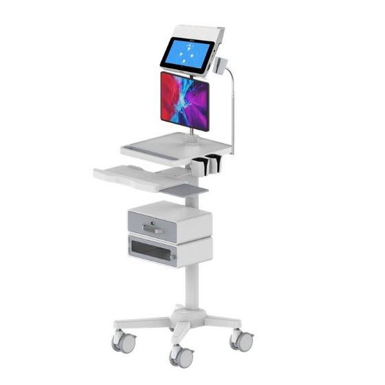 RS-008-1.jpg