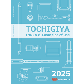 2025 INDEX & Examples of use