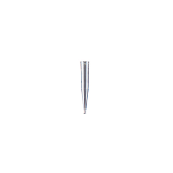 尿沈渣スピッツ.png