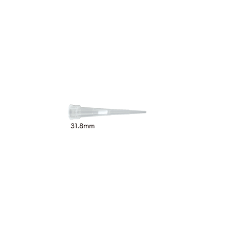 8.png