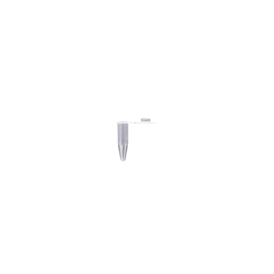 8.png