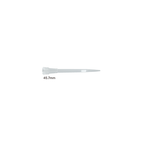 10.png