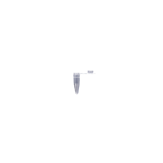 7.png