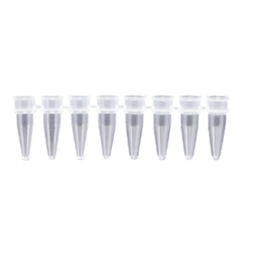 8連チューブ 0.2ml
