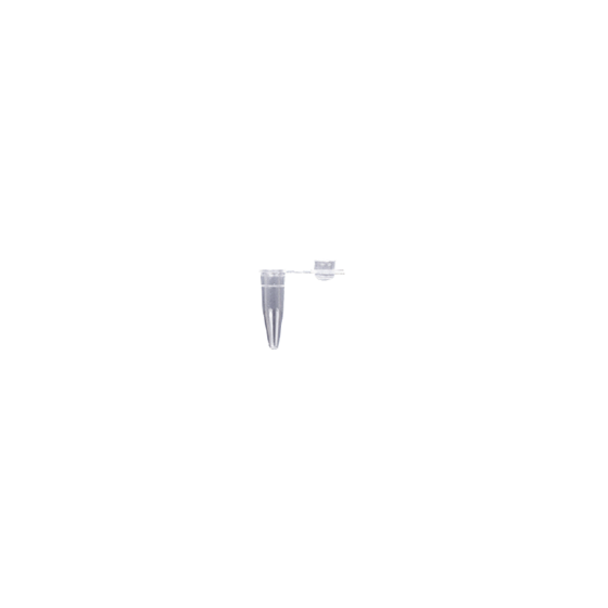 9.png