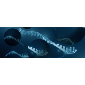 miRNAの精製に！『miRNAエンハンスバッファー』