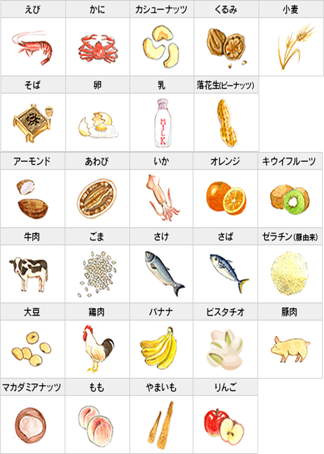 【調味料製造向け】FSSC22000対応 食物アレルゲン検査