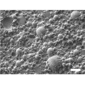 【分析事例】化粧品のクライオSEM観察・元素分析