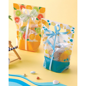 Hand-held bag <Summer>