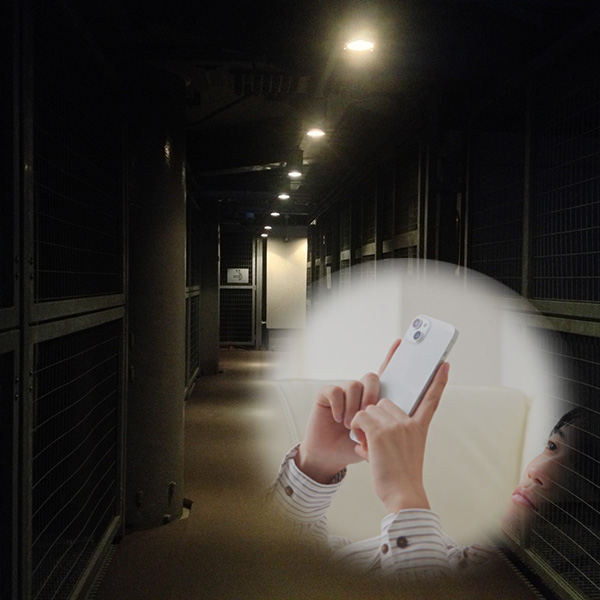 遠隔監視ソリューション【夜間や休日の巡回をなくして監視を省力化】