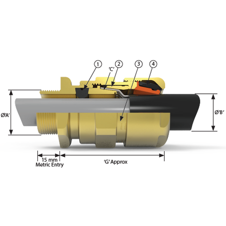 image_24.png