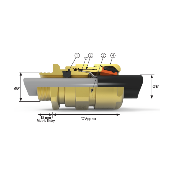 image_24.png