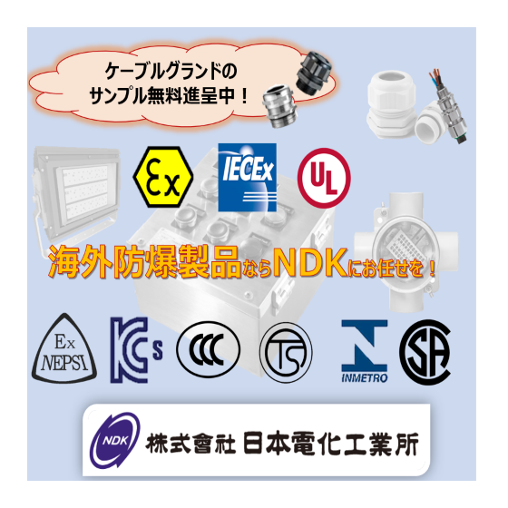 キャプチャ.PNG