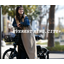 Electric Assist Bicycle EVEREST XING. CITY+