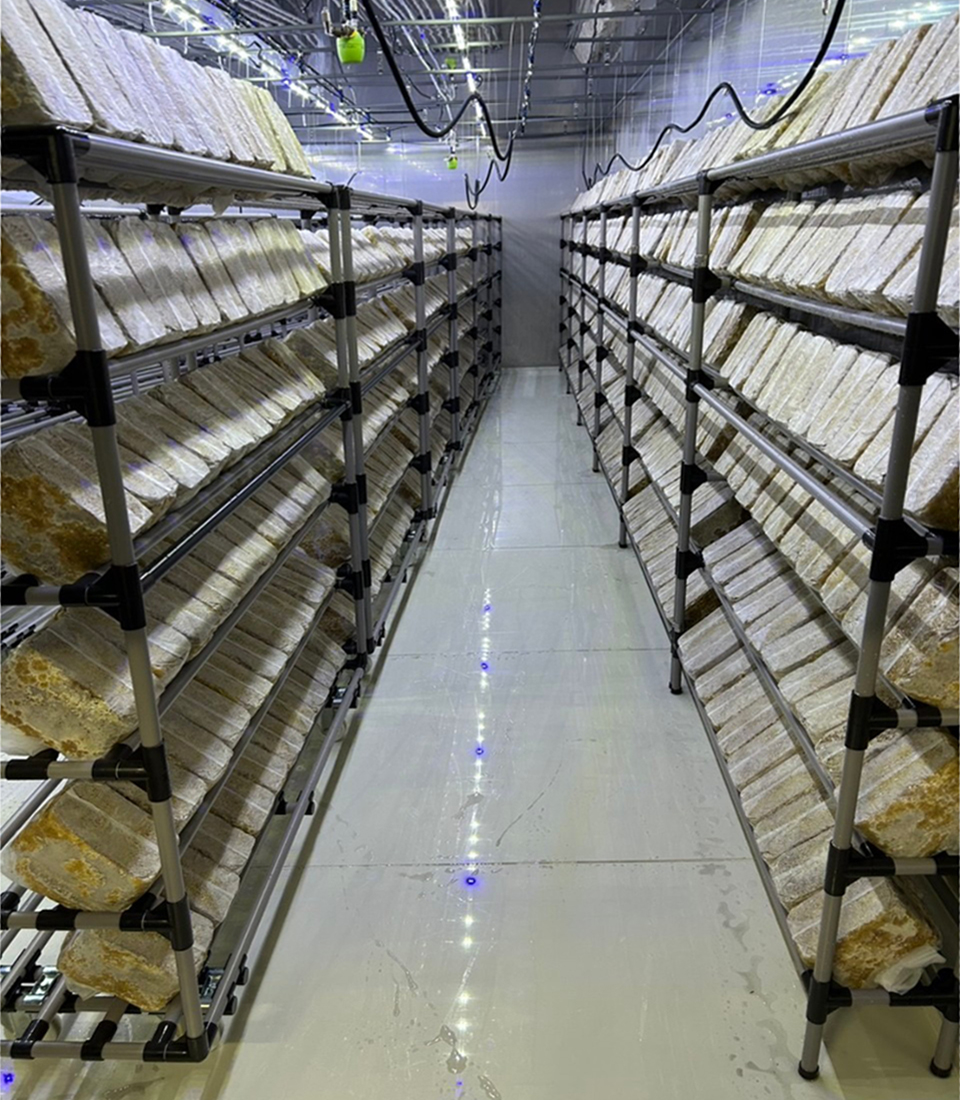 【農業の多角化向け】きくらげ栽培用天井付断熱ブース