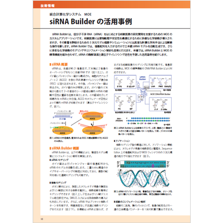 siRNA Builder.png