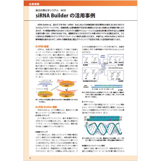 siRNA Builder.png