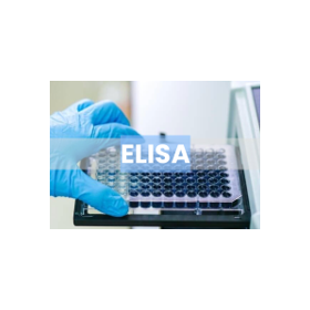 ELISA Sampler Pack for 'measuring all at once' by disease state and pathway