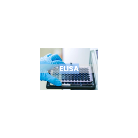 ?ELISA Sampler Pack 画像.png