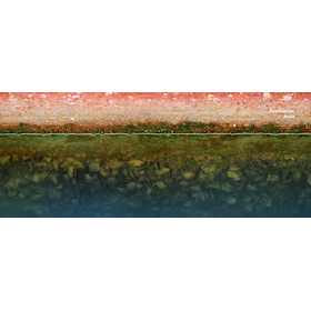 経済的利益をもたらす海洋生物付着物の遠隔操作による除去