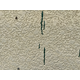 外壁付着物調査.png