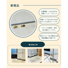 Scaffolding Model CATASTA - Single ...