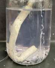 塗膜剥離剤『スーパーペリバーAS-500』