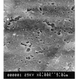 【温室向け】光触媒材料『チタニスター(R)』