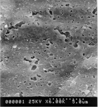 【住宅内装向け】光触媒チタニスターによる空気清浄