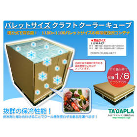 【医薬品向け】パレットサイズ クラフトクーラーキューブ