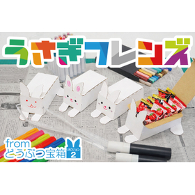 うさぎフレンズ