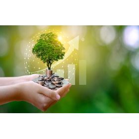 Energy-saving with AIRECO for resta...