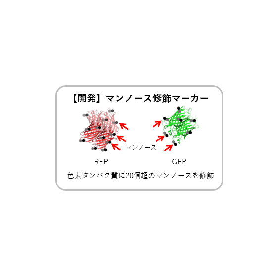 スクリーンショット 2026-06-24 113348.png