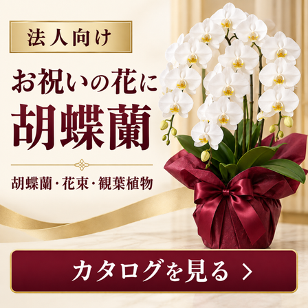 法人胡蝶蘭バナー (中).png