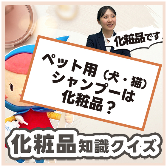 化粧品OEM_化粧品検定の世界_550_550.jpg