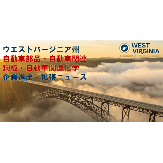 FireShot Capture 305 -  - [].png