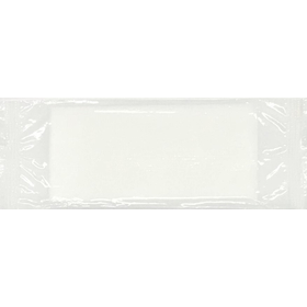 Individually packaged non-woven fabric wet wipes "TM-2600" flat type