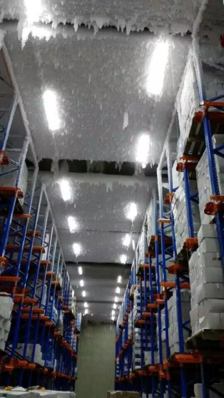 【アイスクリーム工場向け】冷凍庫用 非常灯付きLEDベースライト