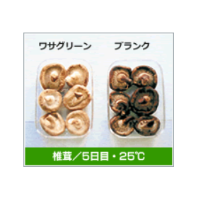 【青果店向け】ワサグリーン