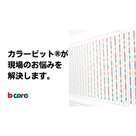 カラービット・ソリューション