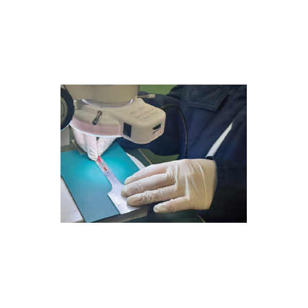 メイン.png